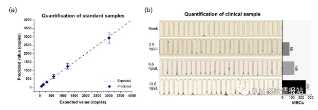 圖6 定量檢測(cè)目標(biāo)DNA