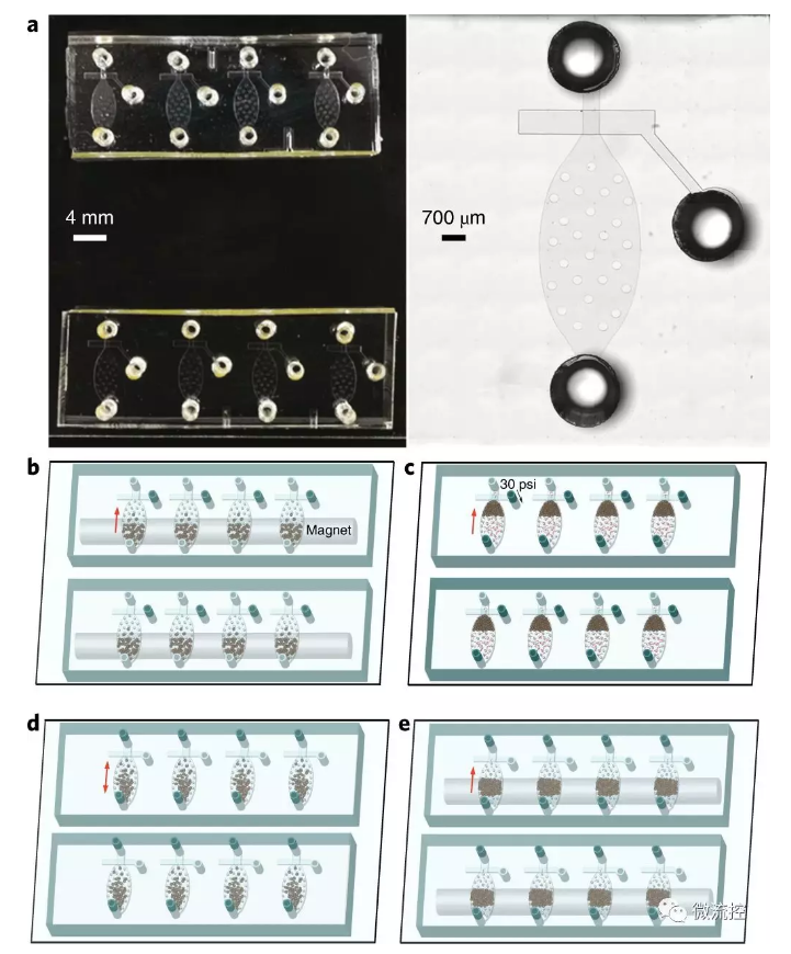 MOWChIP裝置的設(shè)計和操作