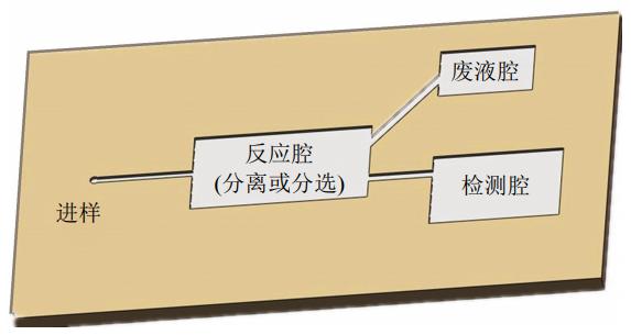 圖1微流控芯片結(jié)構(gòu)示意圖 圖1微流控芯片結(jié)構(gòu)示意圖