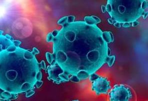 全球首版新冠病毒蛋白質(zhì)組芯片成功制備