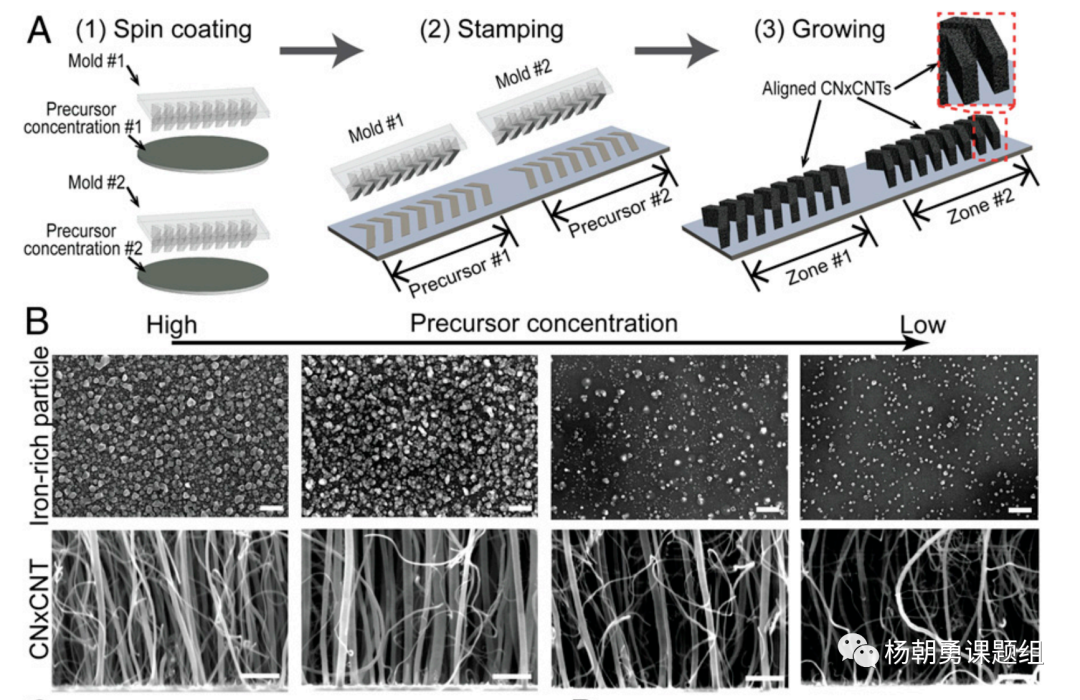圖 2 壓印的方法制作VIRRION及不同內(nèi)部間隙的碳納米管陣列