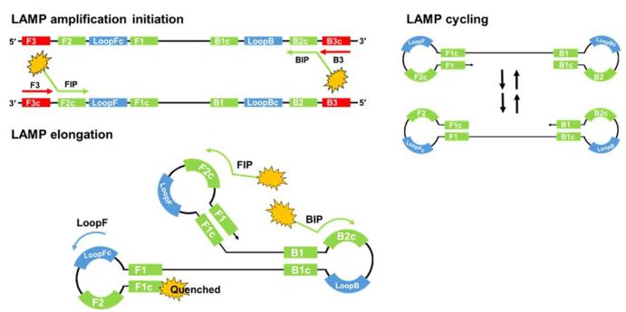 1587952579831630.jpg 2.jpg