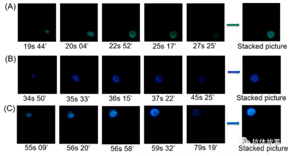 圖1 檢測視頻不同時間典型截圖的疊加圖像，圖像分別對應(yīng)檢測區(qū)域1(A)、2(B)、3(C)產(chǎn)生的光發(fā)射
