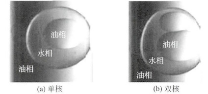 雙乳液液滴 雙乳液液滴