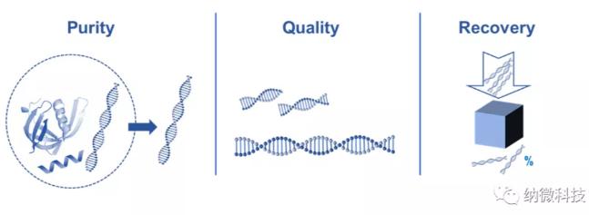 如何評估磁珠法提取核酸的效果？ 