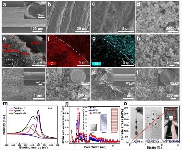 圖2 a）CP/HGF的表面和橫截面掃描電鏡圖像