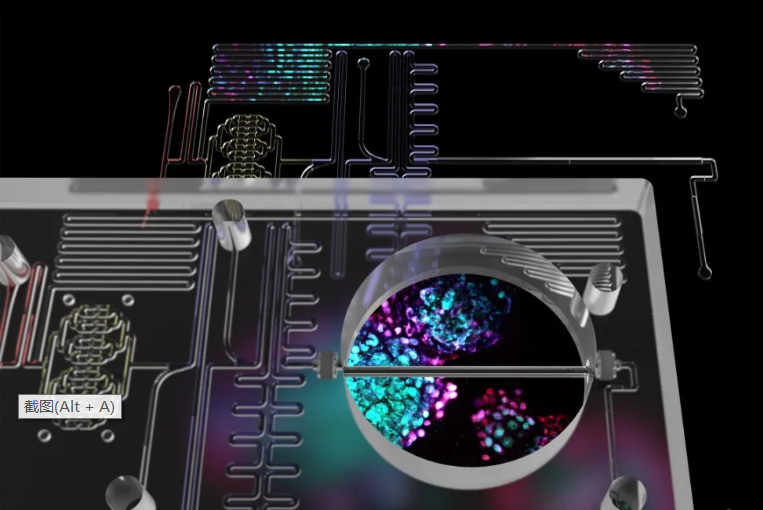 利用微流控技術(shù)篩選胰島素生成細(xì)胞 利用微流控技術(shù)篩選胰島素生成細(xì)胞