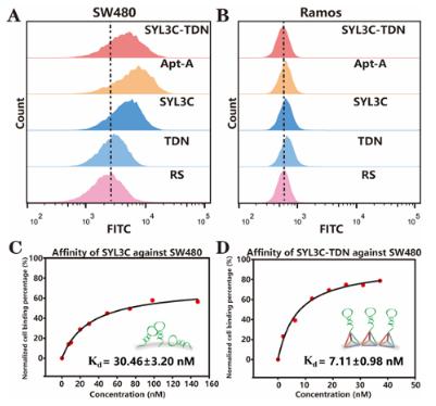 圖2. SYL3C-TDN識別能力的探究 圖2. SYL3C-TDN識別能力的探究