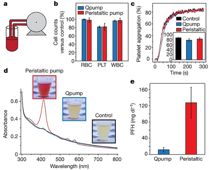 利用“磁蠕動泵”輸送血液。圖片來源：Nature