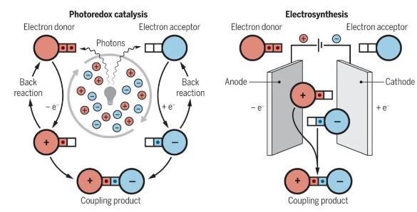 微流體電催化平臺(tái)，成功實(shí)現(xiàn)合成自由基化學(xué)應(yīng)用大突破