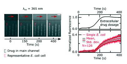 單細胞微流控技術(shù)幫助對抗抗生素耐藥性 單細胞微流控技術(shù)幫助對抗抗生素耐藥性