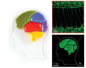 1600330872594522.jpg 2.jpg