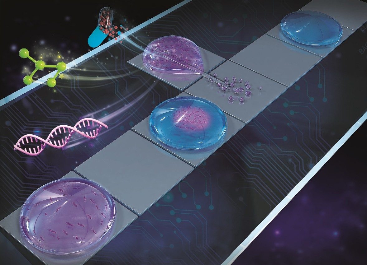 高壓交流電場(chǎng)的驅(qū)動(dòng)下定向噴射出的“衛(wèi)星液滴” 高壓交流電場(chǎng)的驅(qū)動(dòng)下定向噴射出的“衛(wèi)星液滴”