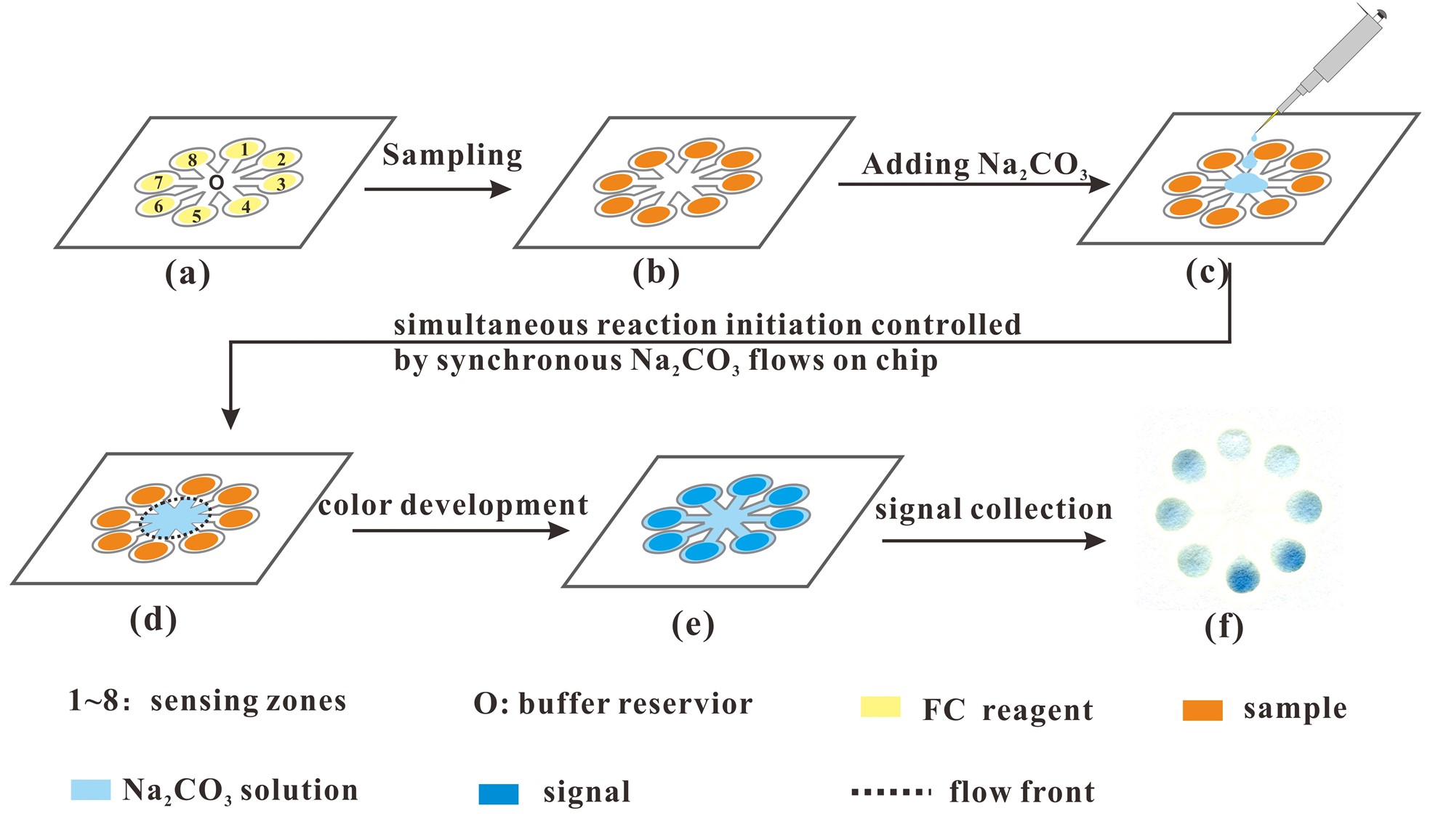 微流控紙芯片技術(shù) 10分鐘可測(cè)出茶多酚含量 微流控紙芯片技術(shù) 10分鐘可測(cè)出茶多酚含量