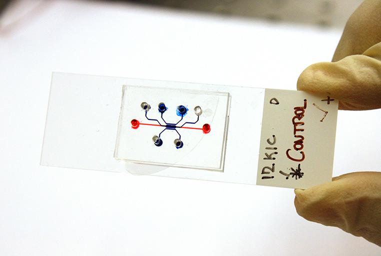 微流控設(shè)備測(cè)試胰腺癌藥物