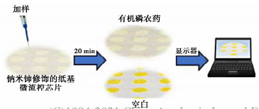 微流控.jpg 微流控.jpg