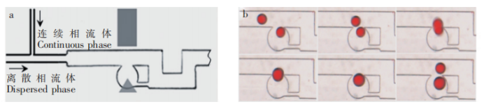 微液滴.jpg 微液滴.jpg