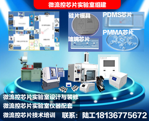 芯片實(shí)驗(yàn)室組建.jpg 芯片實(shí)驗(yàn)室組建.jpg