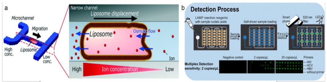 1659598491682766.png 1659598491682766.png