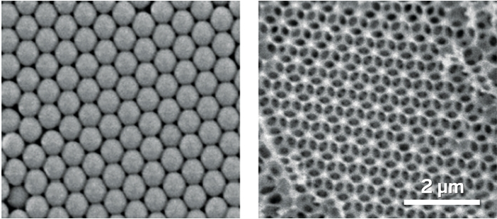 1661821596826337.png 圖片1.png