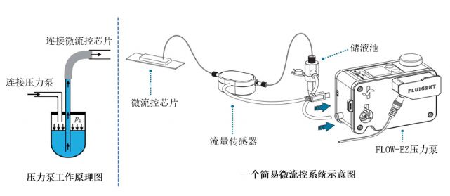 1662341233879291.png 圖片2.png