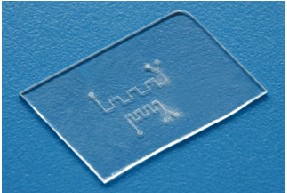 1663123476275432.jpg 1.jpg