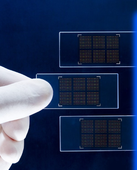 1669773618771470.png 圖片2.png