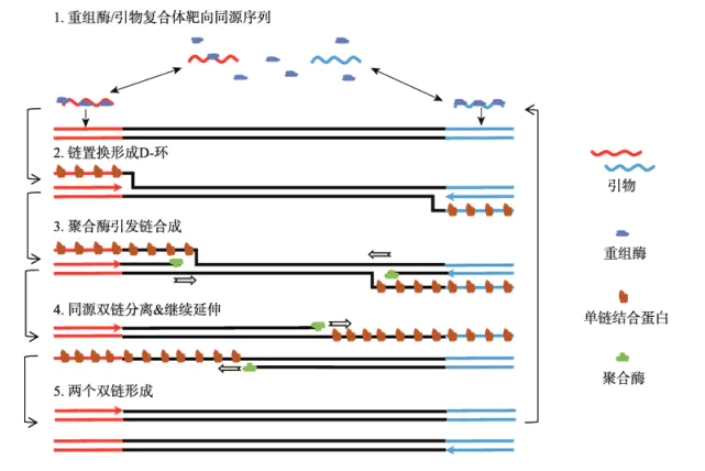 1671426914756062.png 圖片1.png