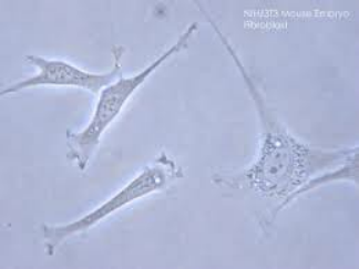 1673338214585729.png 3.png