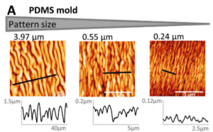 1674979341584934.png 5.png