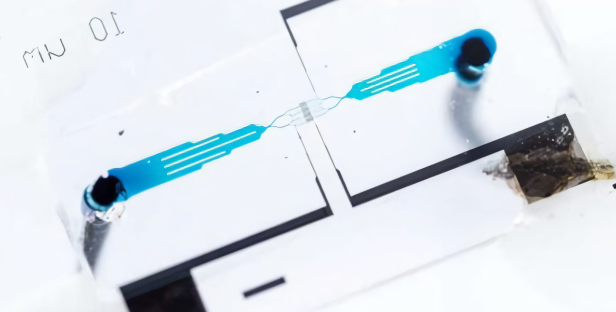 1676941248812794.png 圖片1.png