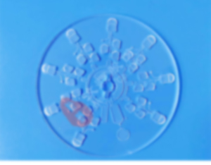 1681782646592569.jpg 未標題-1.jpg