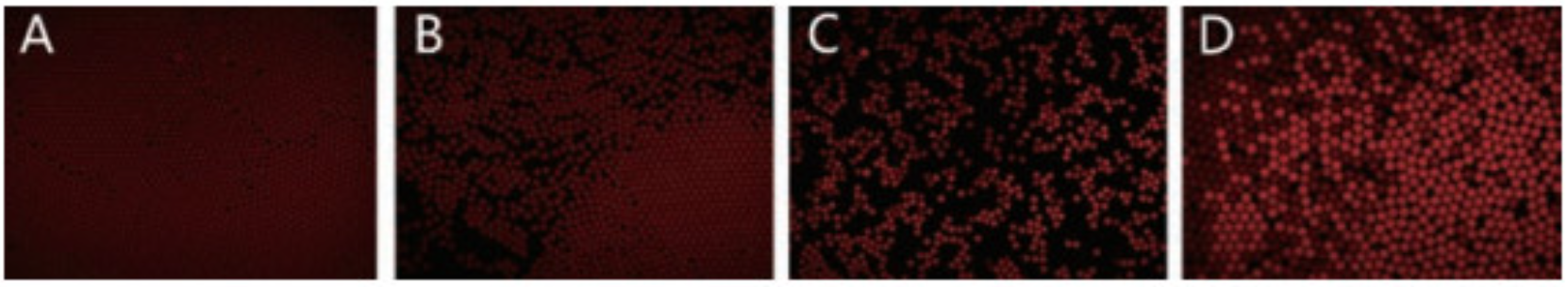 1691715127273952.png 1691715127273952.png