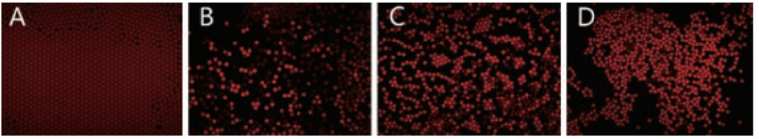 1691715144856114.png 1691715144856114.png