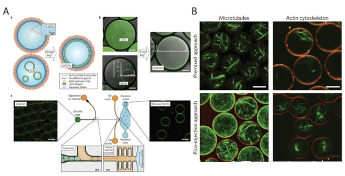 1709271472234635.png 圖片5.png
