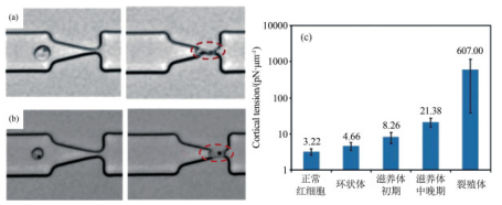 1710985596531803.png 圖片4.png