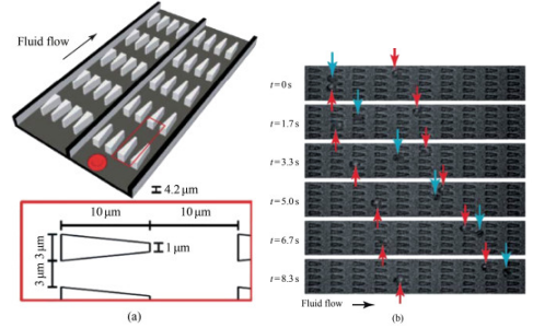 1710985614548154.png 圖片5.png