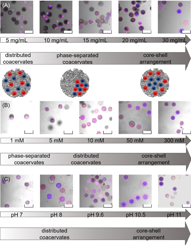 1716170117256165.png 1716170117256165.png