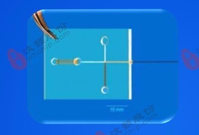 1751251364407408.png 微信截圖_20250630103919.png